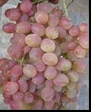 сорт Находка